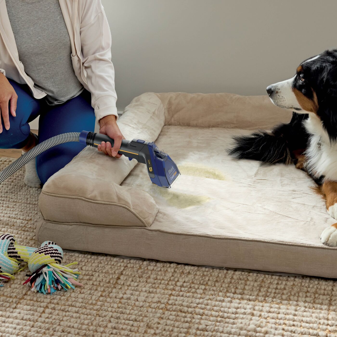 Built for homes with pets