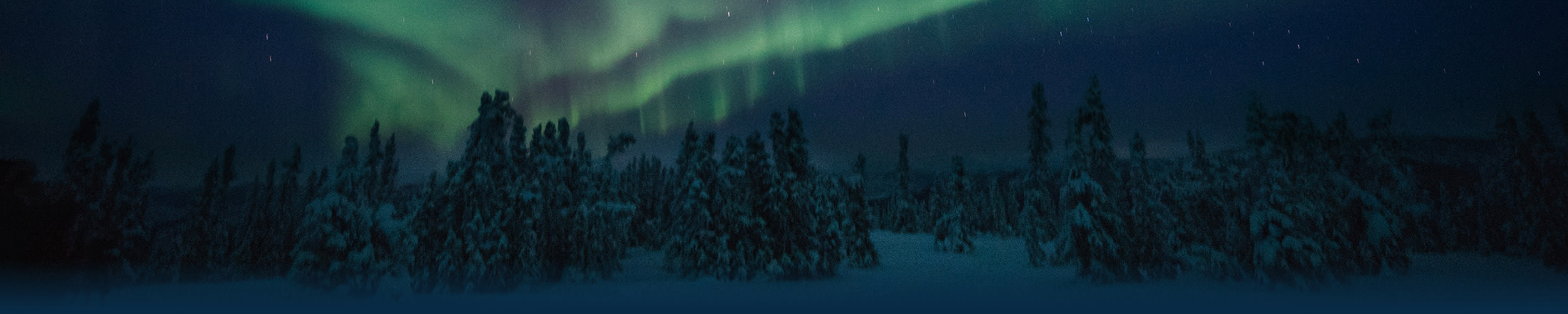 Northern lights over a snowy forest backdrop