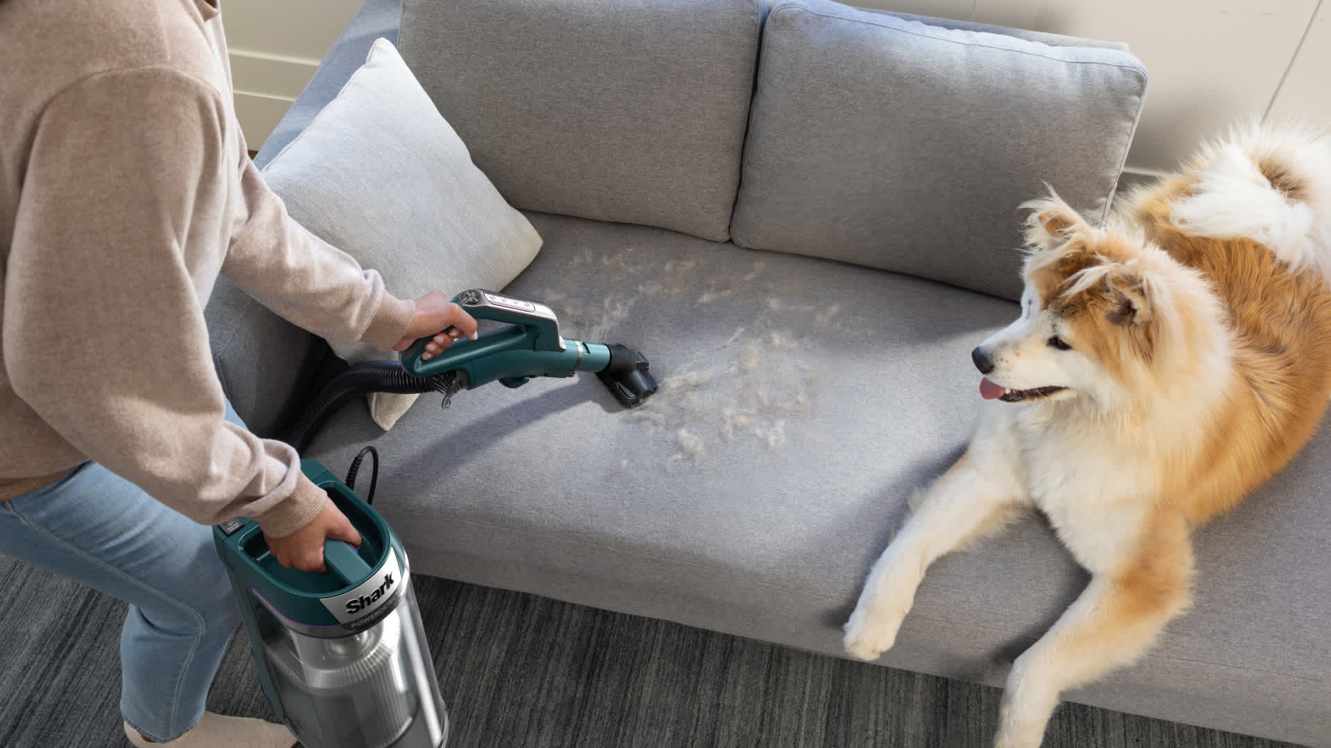 Image of Shark Upright Vacuum Cleaner Handheld Mode