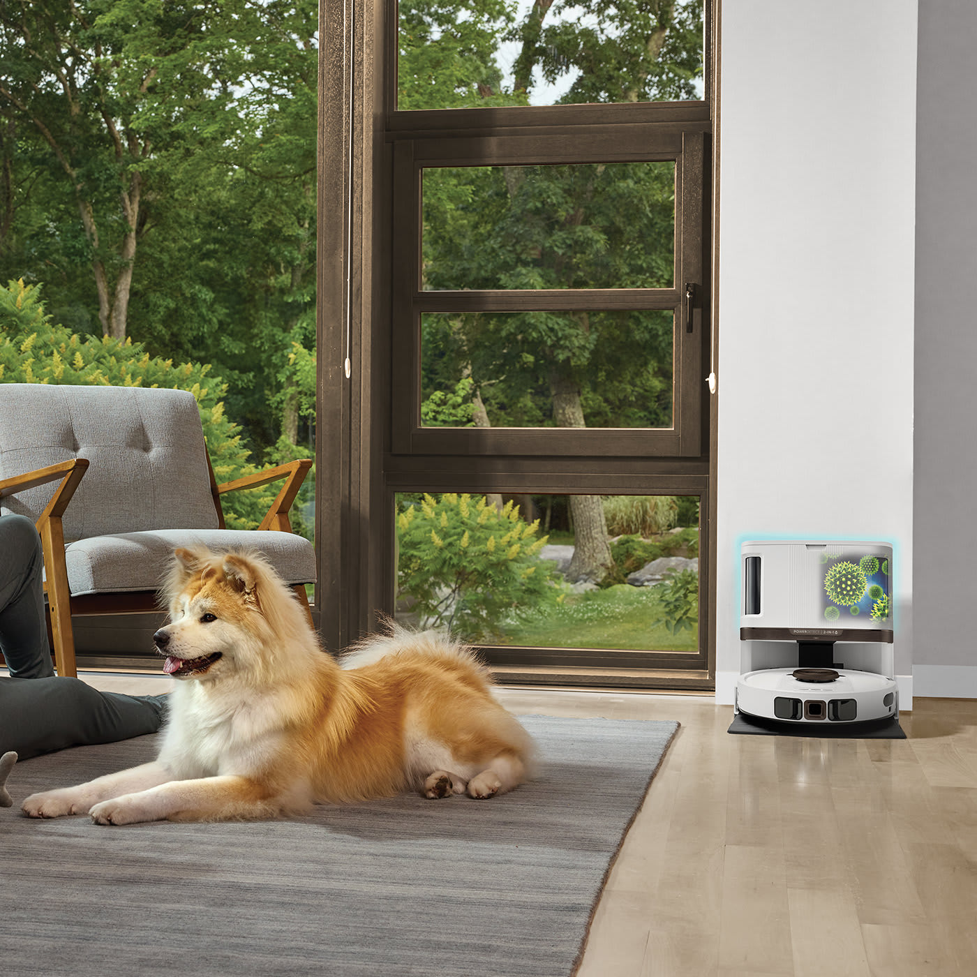 Perfect for homes with pets