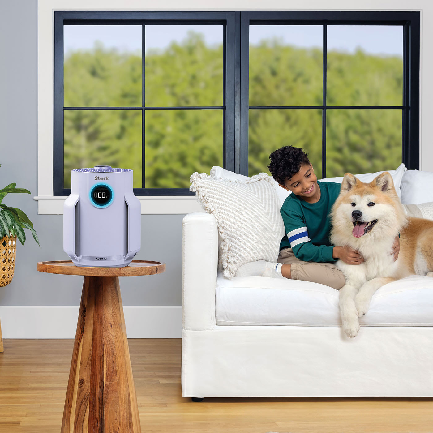 Anti-Allergen Filtration & Anti-Odour Technology