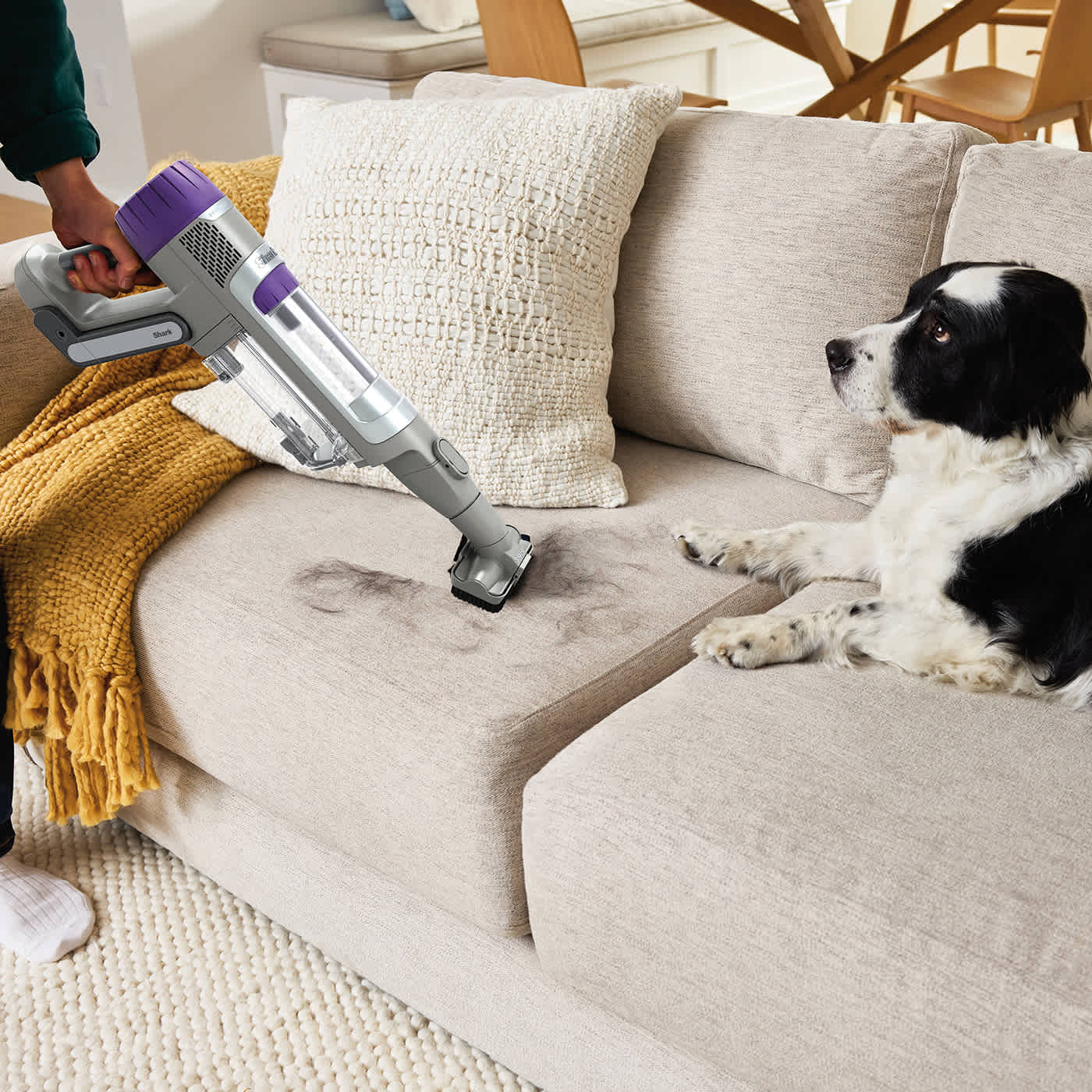 Image of Person Cleaning the sofa to remove pet hair