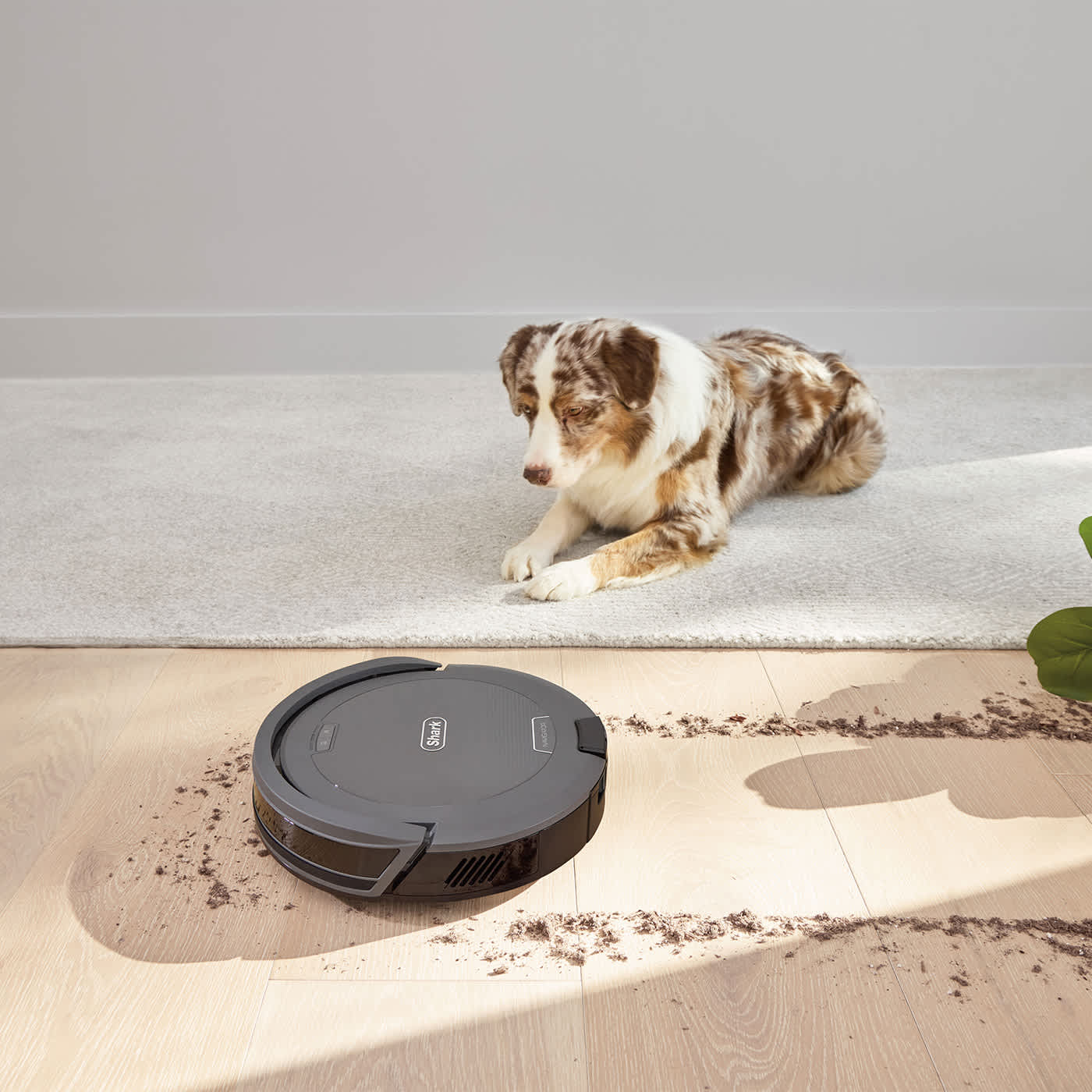 Cleans Row by Row for More Coverage*