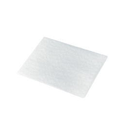 Post Motor Exhaust Filter for AH450 product photo